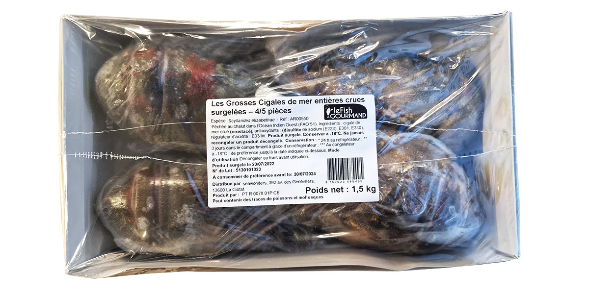 Découvrir et cuisiner la cigale de mer